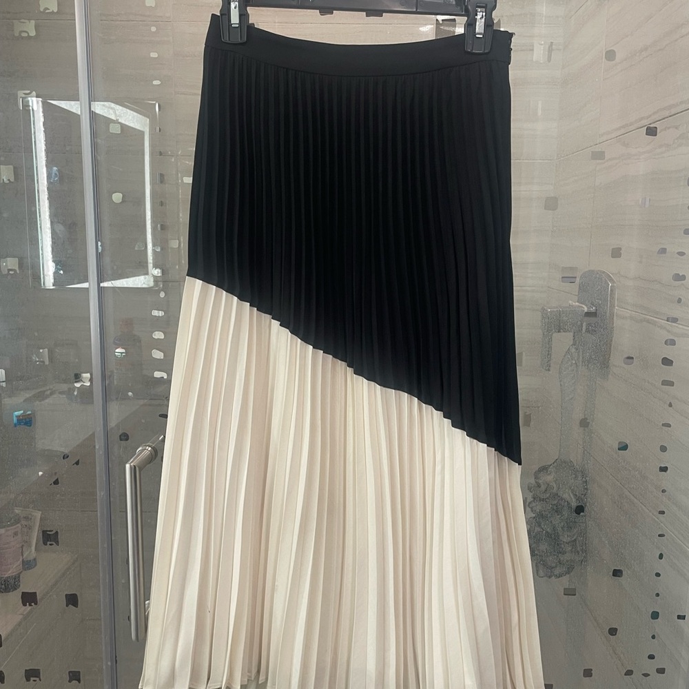 Express Asymmetrical Skirt in Black